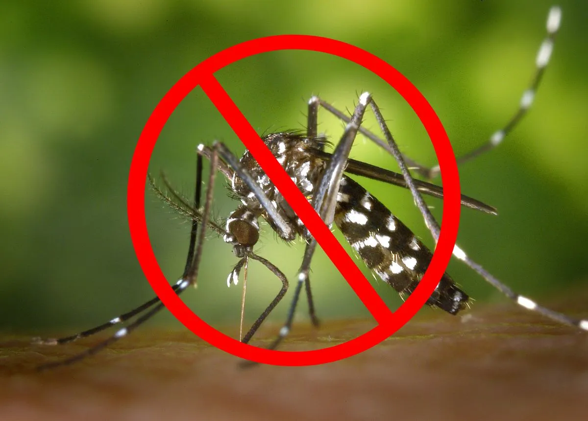 Top 9 thuốc diệt muỗi tận gốc hiệu quả nhất 2023