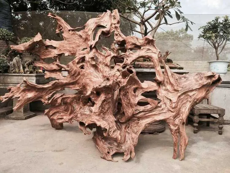 Mỗi loại gỗ lũa có đặc điểm và nét đẹp độc đáo riêng.