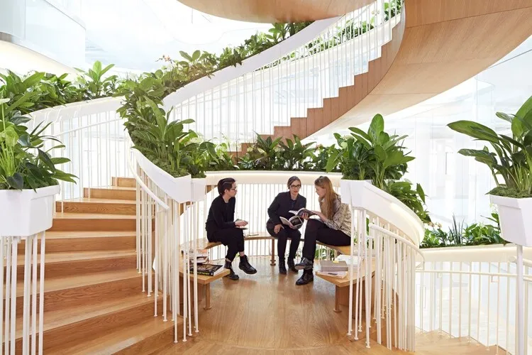 Cầu thang gỗ xoắn ốc cho công trình lớn với phần lan can thiết kế thêm vị trí đặt cây cảnh tạo nên không gian xanh dễ chịu, thư thái.