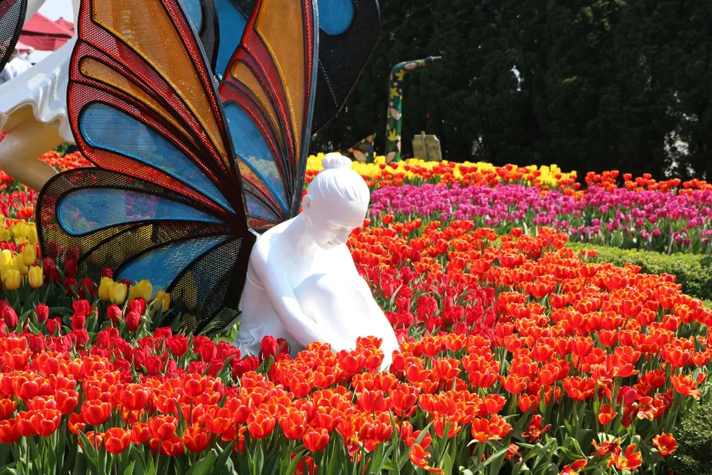 Có ai đã từng được chiêm ngưỡng lễ hội hoa tulip này tại Bà Nà Hill chưa? Đó là một hình ảnh rất đẹp cho du khách thỏa sức ngắm nhìn.