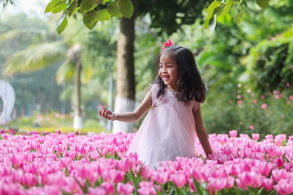 Đây không phải là Hà Lan. Đây là con đường hoa tulip tại Hà Nội, Việt Nam trong ngày lễ của đất nước.