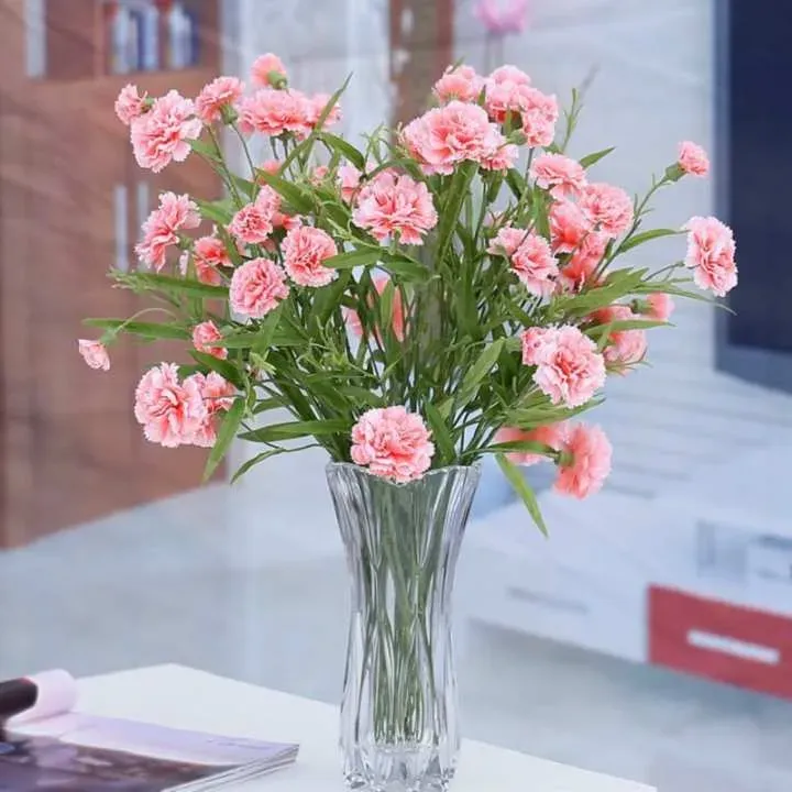 Một bình hoa cẩm chướng hồng là một sự lựa chọn hoàn hảo cho ngày mới
