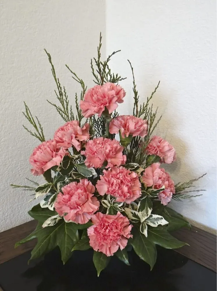 Hoa cẩm chướng cũng có thể cắm thành một lẵng để làm quà tặng