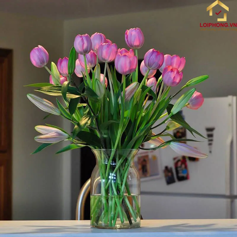 Hoa tulip thường được dùng để trang trí tại phòng khách và phòng làm việc