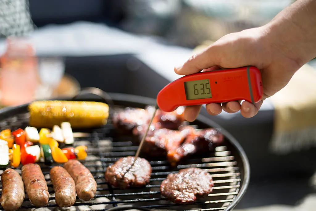 Nhiệt kế điện tử đo nhiệt độ thức ăn