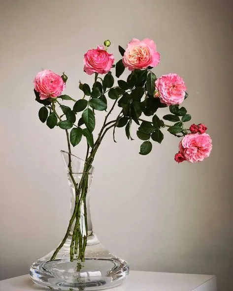 Bình hoa thủy tinh đẹp tối giản