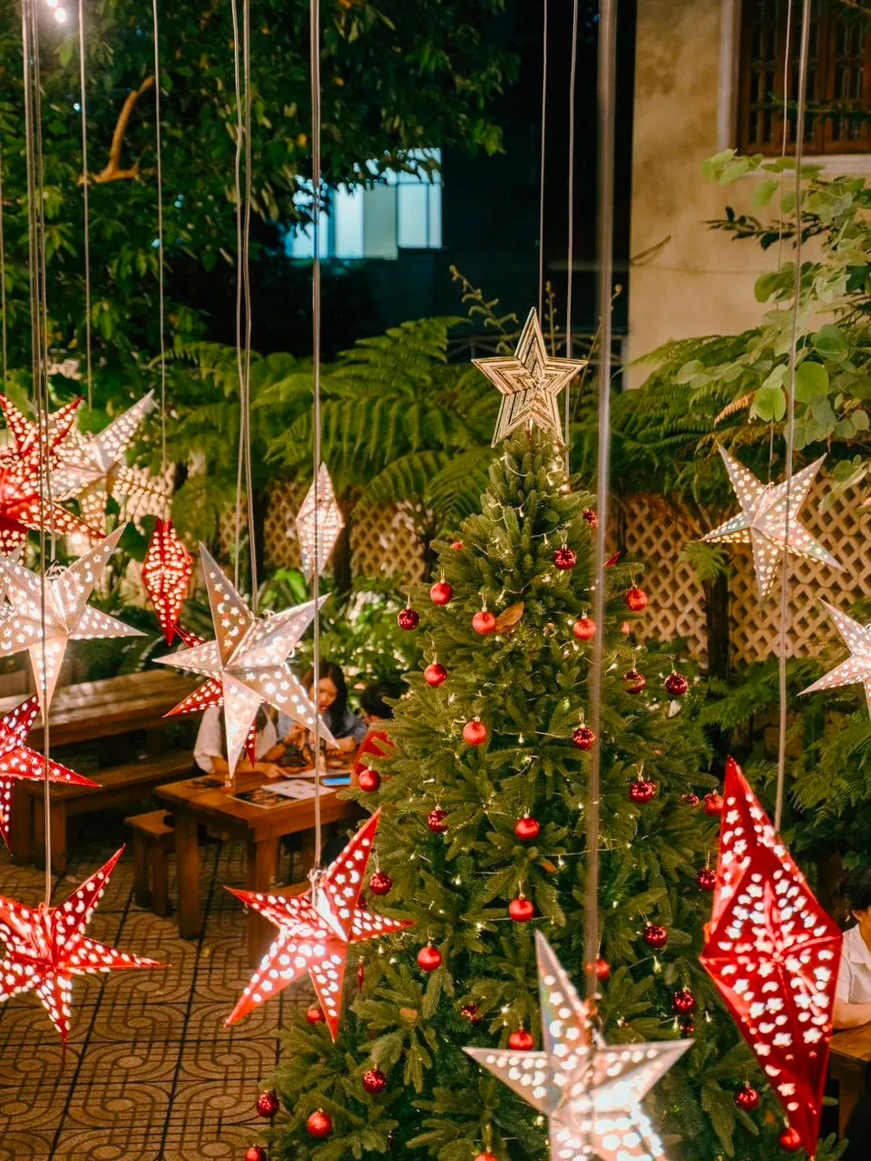 Hình ảnh trang trí Giáng sinh tại Sori Garden với đèn ngôi sao và cây thông