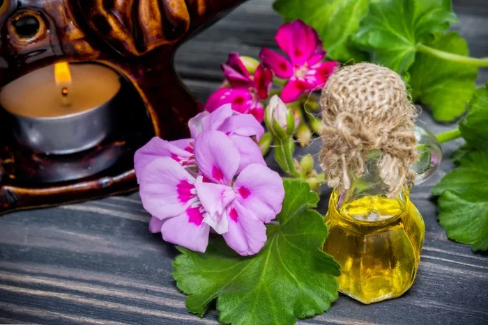 Tinh dầu hoa phong lữ, hay còn được gọi là tinh dầu geranium, thường được sử dụng với nhiều mục đích khác nhau, bao gồm cả trong việc đuổi muỗi. Mùi hương dịu nhẹ của tinh dầu geranium có thể không chỉ đuổi muỗi mà còn tạo ra một không gian thư giãn và dễ chịu.