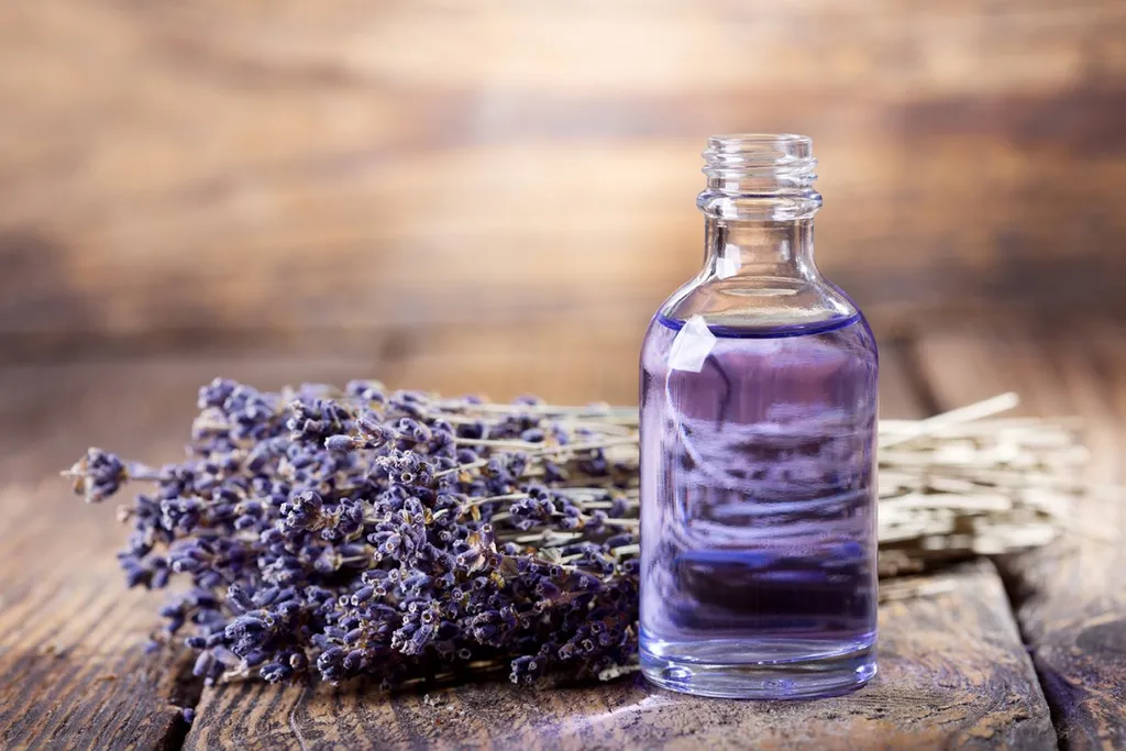 Tinh dầu hoa oải hương (lavender) thường được sử dụng không chỉ để tạo ra một mùi hương dễ chịu mà còn có nhiều tính năng khác, bao gồm cả việc đuổi muỗi. Mùi hương dịu nhẹ của tinh dầu hoa oải hương không chỉ giúp thư giãn mà còn có thể giúp tránh xa muỗi.