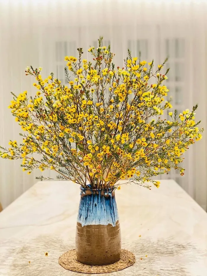 Bình hoa thanh liễu thường được cắm và trưng bày trong phòng khách