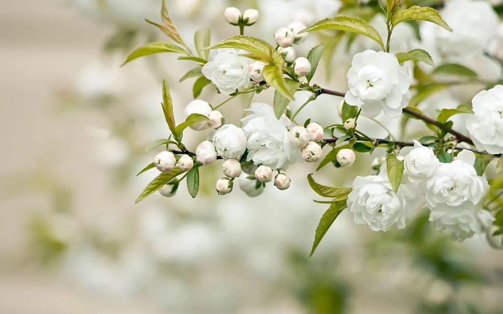 Mùi hương dịu dàng của hoa nhài có tác dụng thư giãn và giúp giảm căng thẳng, lo âu. Việc sử dụng các sản phẩm hoặc tinh dầu hoa nhài trong phòng tắm hoặc phòng ngủ có thể tạo ra một môi trường thư giãn và yên bình.