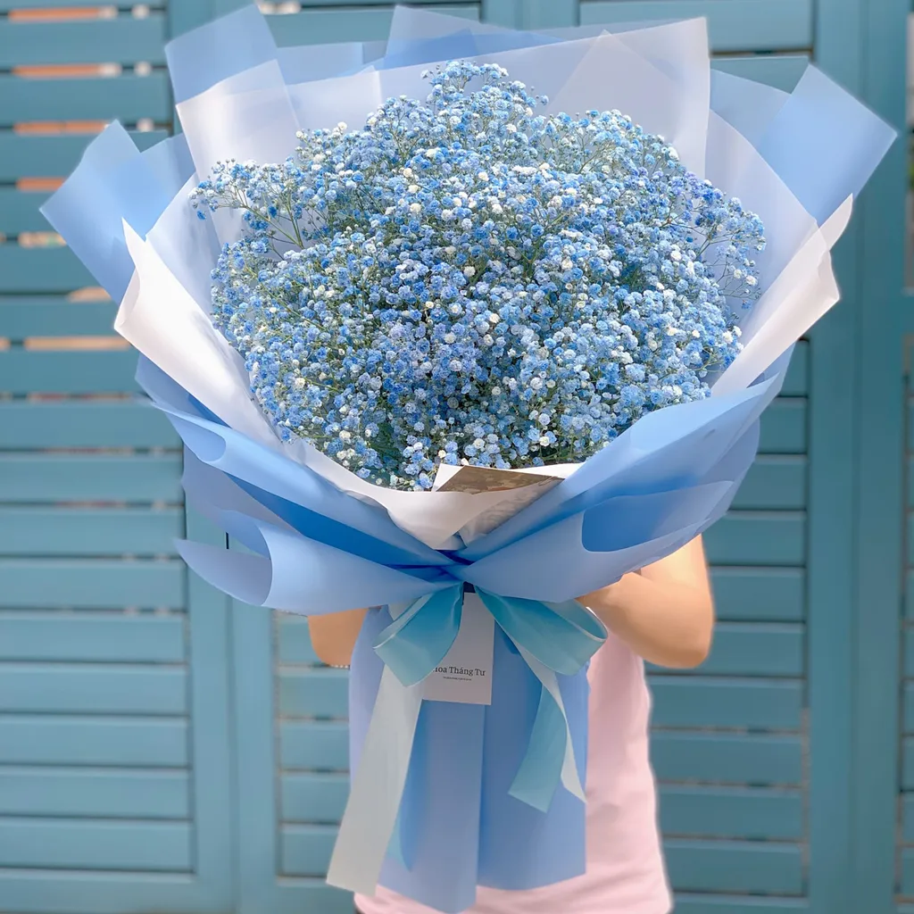 Hoa baby màu xanh: Đại diện cho niềm tin, sự tôn trọng và che chở trong tình yêu. Màu xanh cũng có thể biểu thị sự hòa bình và sự ổn định.
