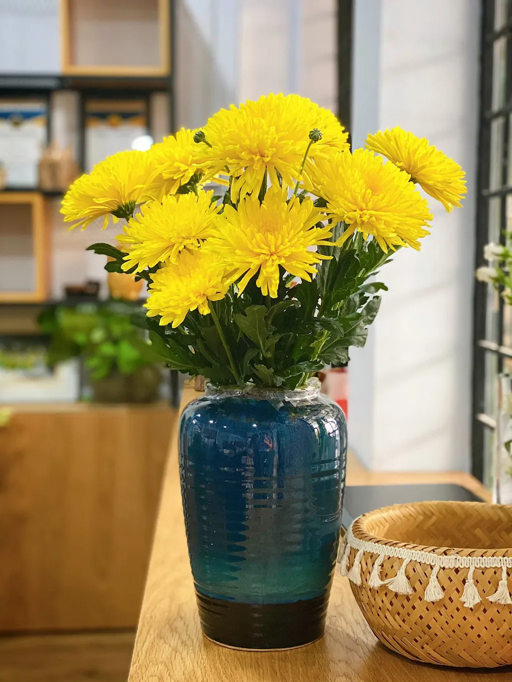 Đặt hoa cúc vàng trong các chậu hoa và đặt trên cửa ra vào hoặc các góc phòng để tạo ra một không gian sống sinh động và ấm áp.