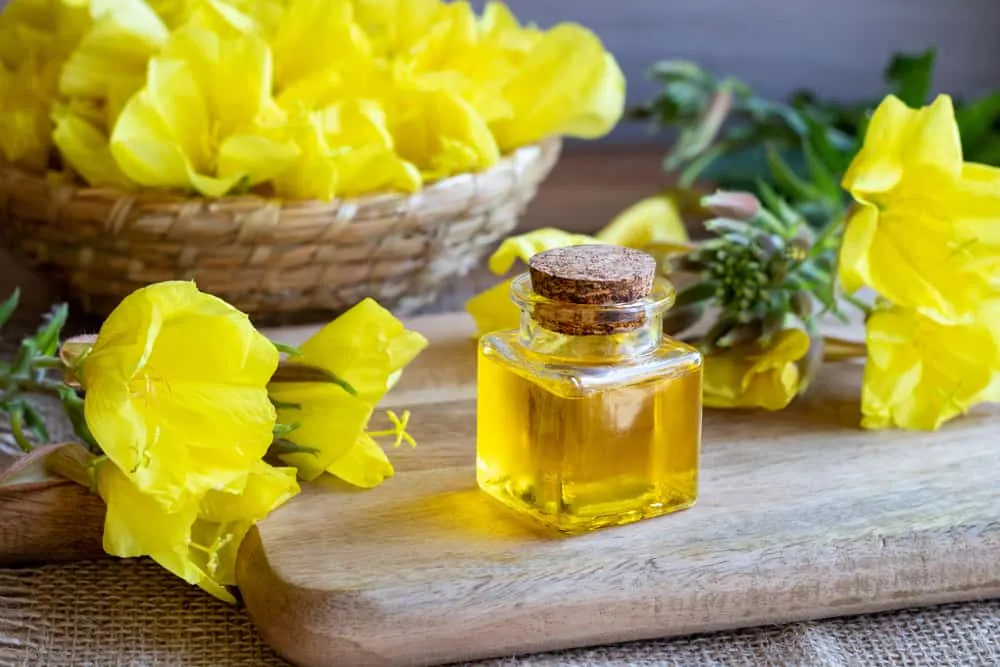 Tinh dầu hoa anh thảo giúp giảm biến chứng bệnh tiểu đường