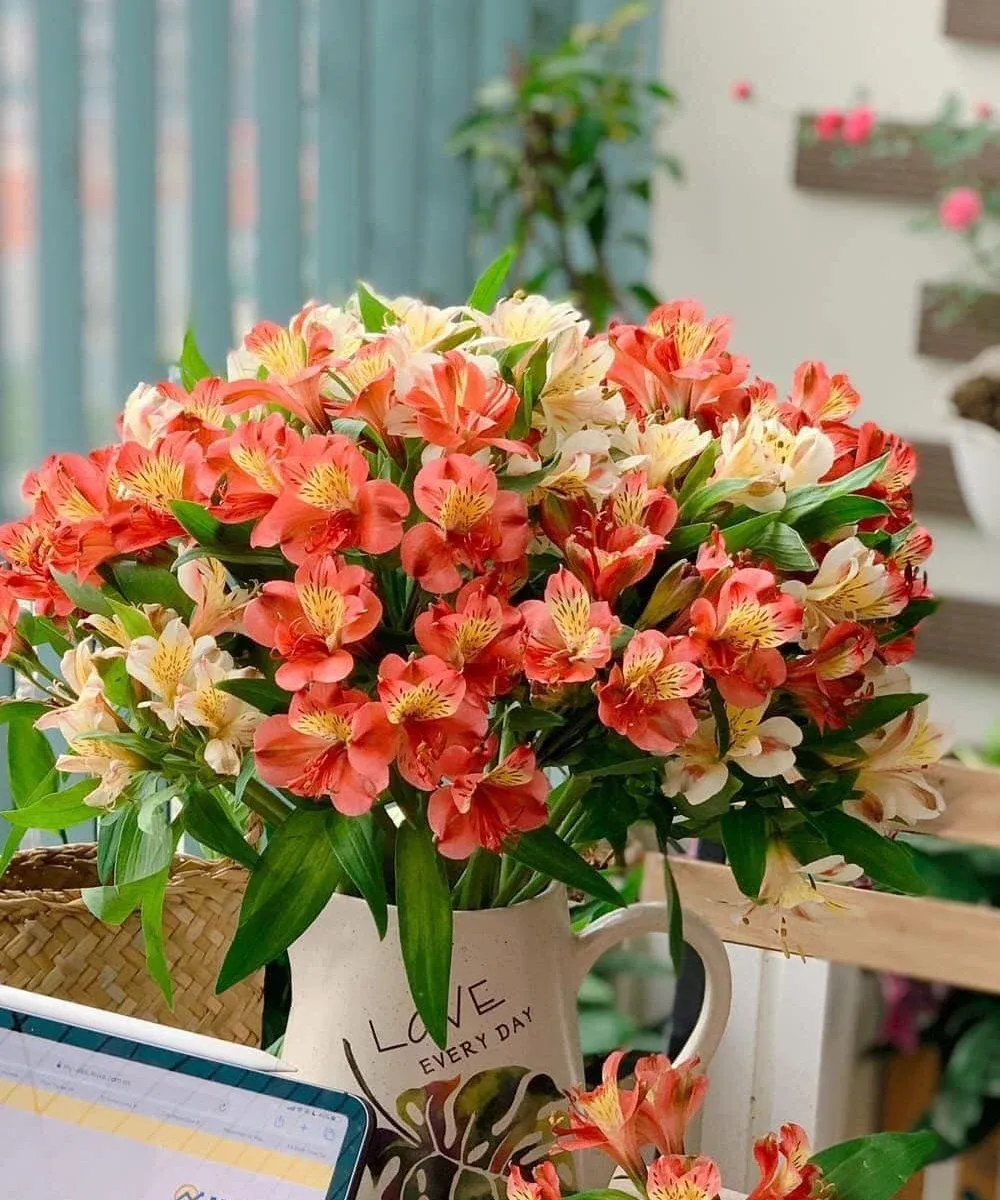 Hoa Thủy tiên mang đến sự ngọt ngào và lãng mạn, lan tỏa hương thơm dịu nhẹ khắp nơi