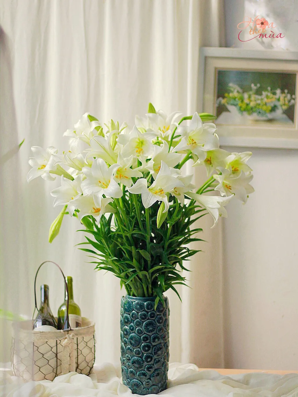 Bình hoa loa kèn là cách phổ biến để trang trí bàn làm việc, bàn ăn hoặc không gian sống trong nhà