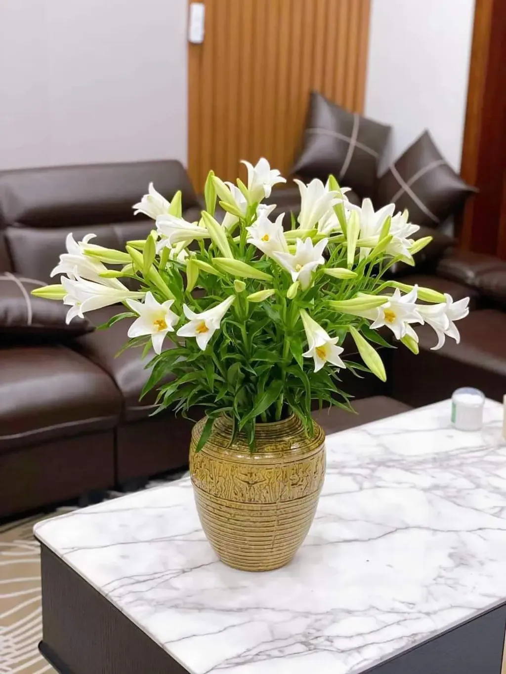 Hoa loa kèn trắng dễ chơi, dễ chăm nên được rất nhiều người yêu thích.