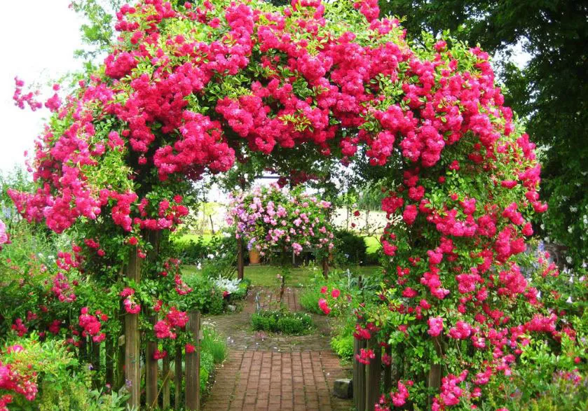 Bạn có thể tạo ra các khu vườn dọc tường với các bậc thang hoặc giá đỡ để hoa có thể leo lên.