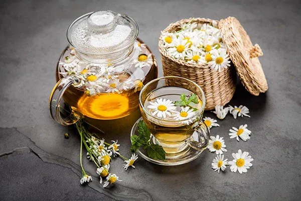 Trà hoa cúc trắng là một trong những bài thuốc hiệu quả trong việc giải nhiệt, giải độc hiệu quả trong những ngày tháng hè nóng bức