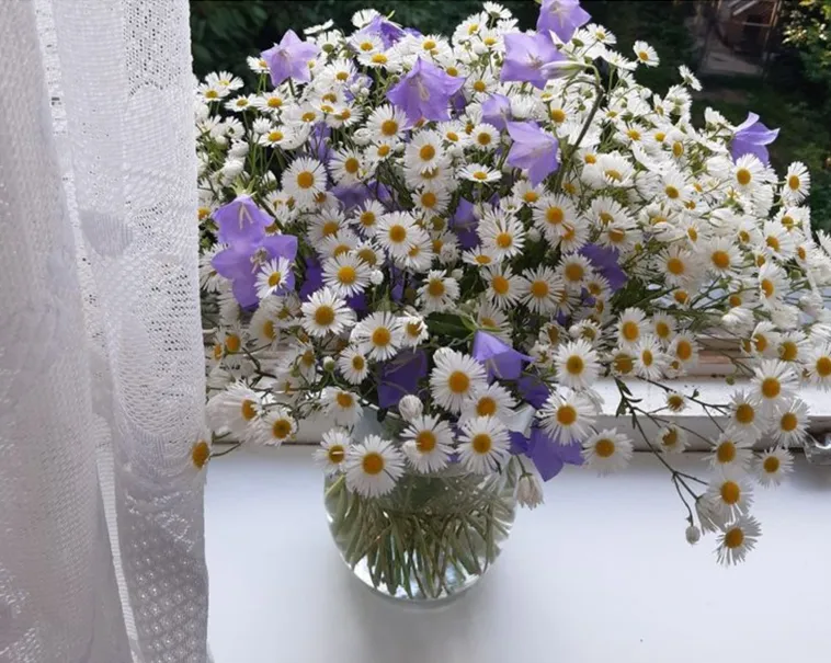 Ngoài việc chỉ cắm toàn hoa cúc trắng, bạn còn có thể thêm vài cành hoa giấy màu tím. Điều này sẽ giúp bình hoa của bạn có điểm nhấn và bớt đơn điệu hơn.