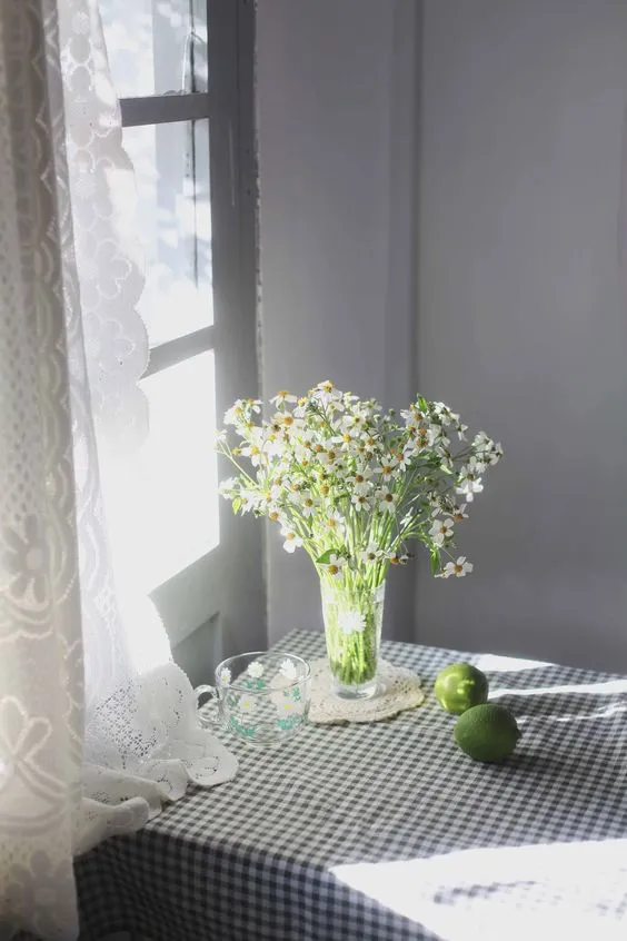 Mỗi sớm mai, khi tia nắng đầu tiên xuất hiện bên cạnh khung cửa sổ, những bông hoa cúc trắng lại nở rộ, tạo ra những sắc trắng muốt giữa không gian đầy bình yên. Hình ảnh ấy như một lời thông báo cho ngày mới tràn đầy năng lượng đã bắt đầu
