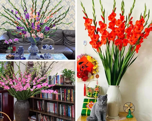 Một số hình ảnh về kiểu cắm hoa lay ơn 10 bông thả bình đơn giản 