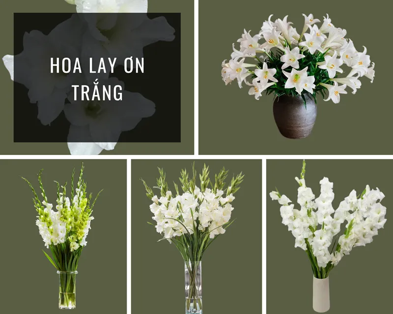 Với chỉ vài cành bông cùng những biến tấu khác nhau mà bạn có cho ra nhiều mẫu bình hoa lay ơn trắng của riêng mình