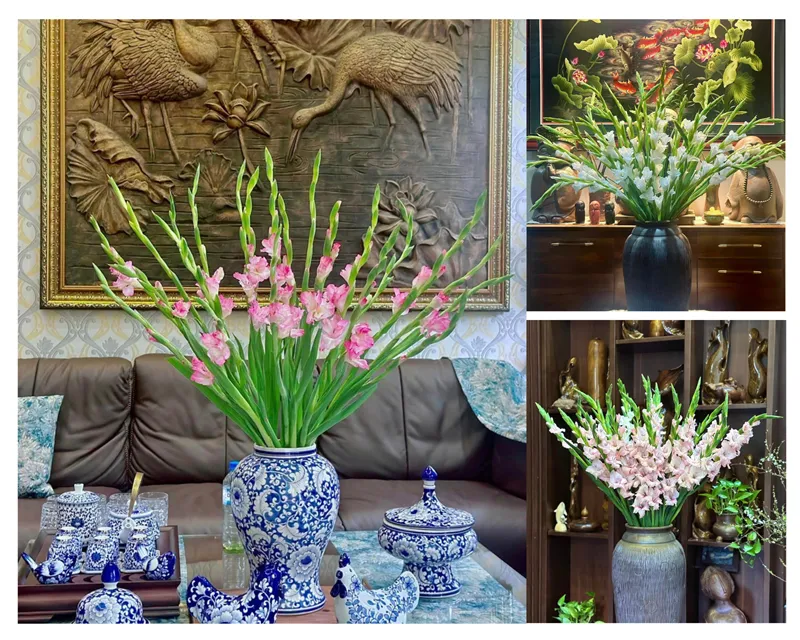 Trong văn hóa phương Đông, hoa lay ơn là một trong những loài hoa có khả năng xua đuổi tạp âm, mang lại sự thanh lọc cho không gian nhà sống. Vì thế, nhiều người thường đặt bình hoa ở những nơi quan trọng như bàn thờ tổ tiên, bàn phòng khách, với mong muốn đem lại bình an cho gia đình