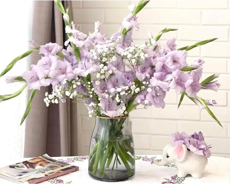 Nếu bạn thấy đơn điệu quá thì có thể kết hợp hoa lay ơn tím với vài cành baby trắng, điều này có thể giúp bình hoa của bạn trở nên lôi cuốn hơn