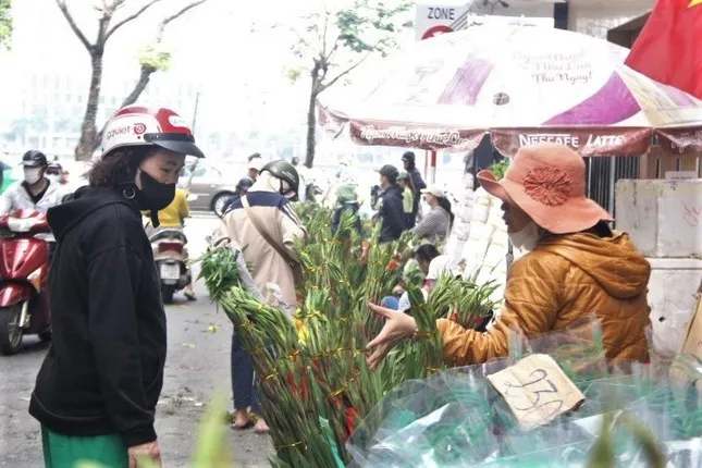 Vào mỗi dịp Tết đến Xuân về, nhà nhà người người đều nhộn nhịp ra chợ và chọn những bó hoa lay ơn về cắm