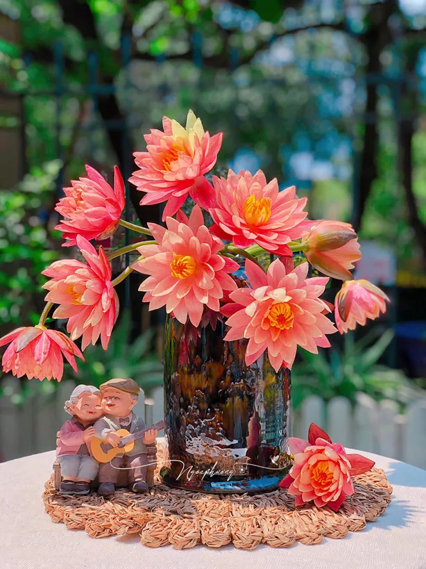 Hương thơm nhẹ nhàng cùng màu sắc tươi tắn, hoa súng là một lựa chọn hoàn hảo trong việc trang trí không gian phòng khách hoặc bếp của nhà bạn