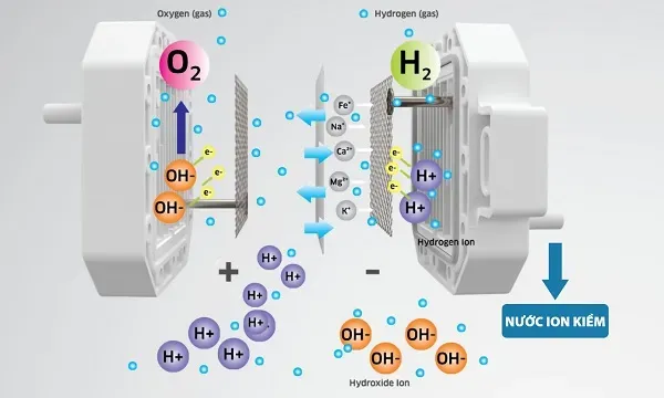 Nguyên lý hoạt động của máy lọc nước ion kiềm