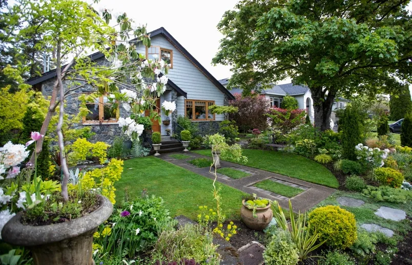 Trong quan niệm phong thủy, cây xanh được ví như lá phổi của căn nhà khi nó minh chứng cho một môi trường sống lành mạnh