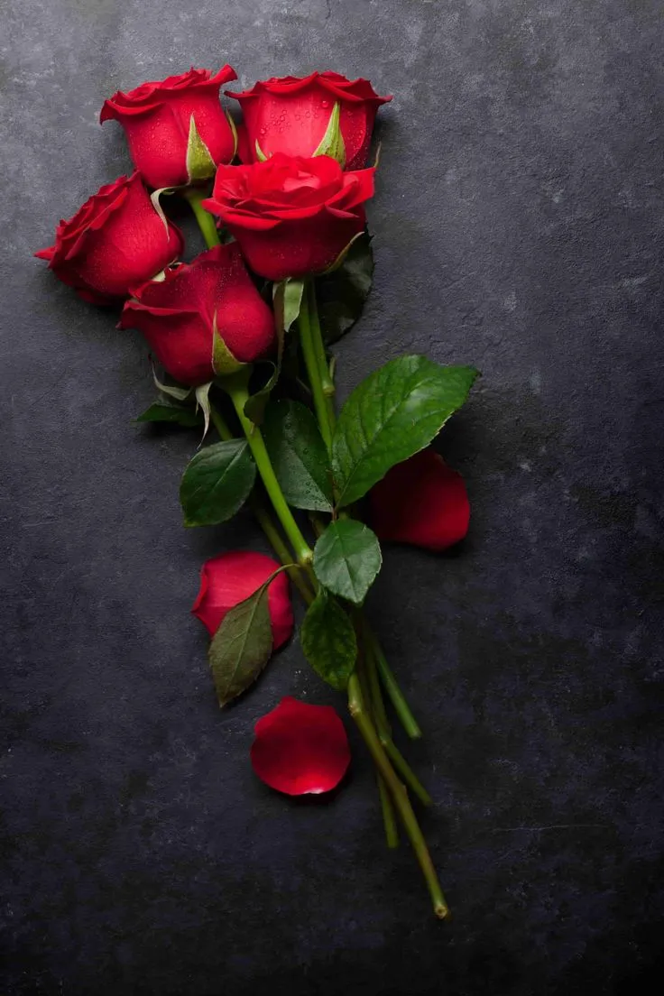 Ý nghĩa hoa hồng đỏ là tình yêu nồng cháy