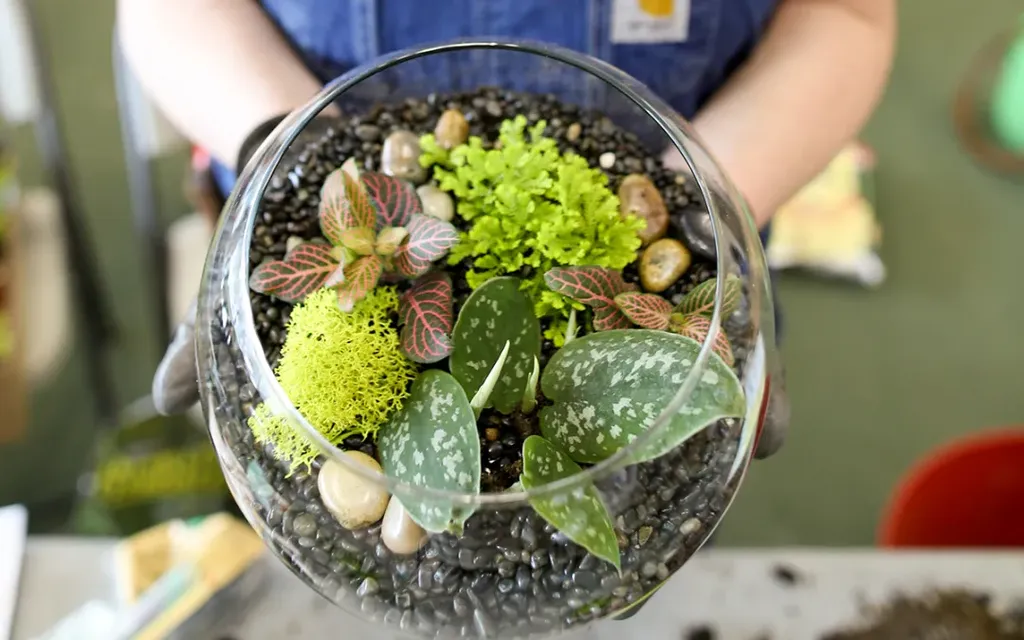 Việc tự làm terrarium là một hành động thể hiện sự quan tâm, yêu thương và trân trọng dành tặng bạn thân. Đó là món quà được tạo ra từ chính trái tim và bàn tay của bạn, mang theo những lời chúc phúc chân thành nhất