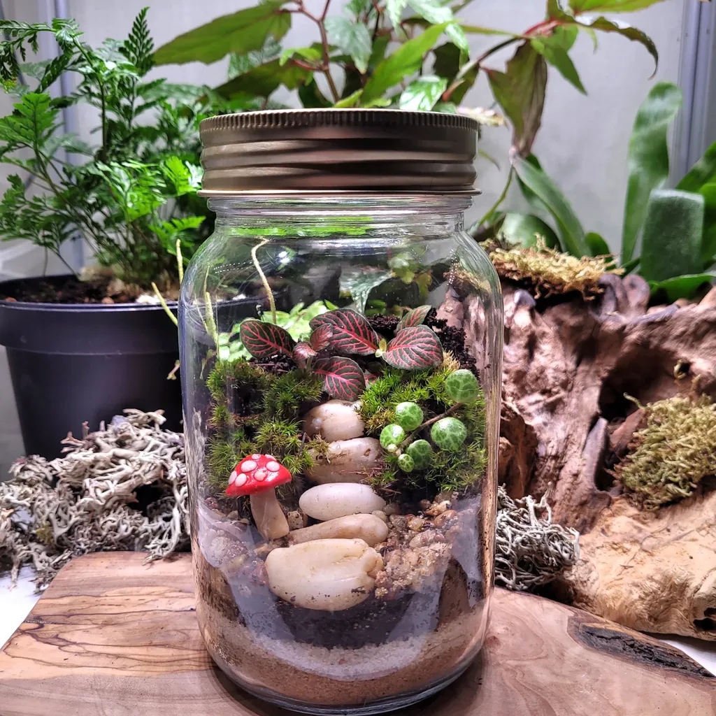 Terrarium cũng là một món quà tặng tự làm mà bạn có thể dành cho bố