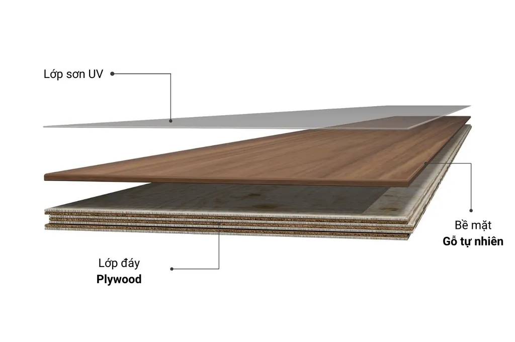 Cấu tạo và đặc điểm của gỗ plywood