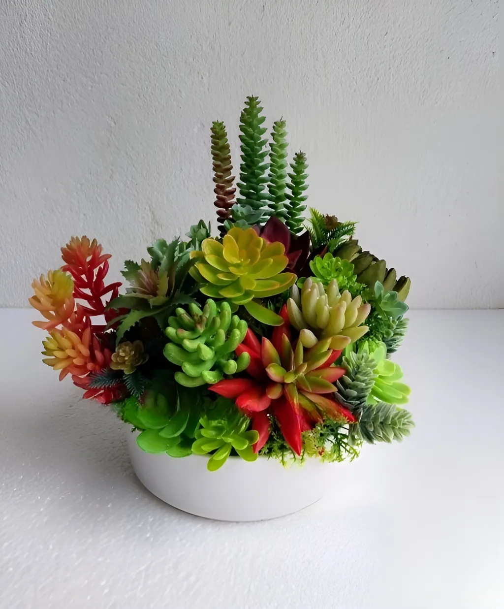 Mẫu sen đá trồng trong chậu lớn