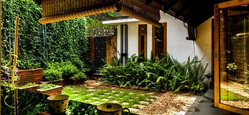 Không gian sân vườn mộc mạc và xanh mát