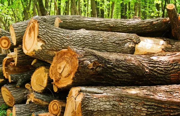 Nhược điểm của gỗ là dễ bị rạn nứt nên khi thi công cần tỉ mỉ và cẩn thận.