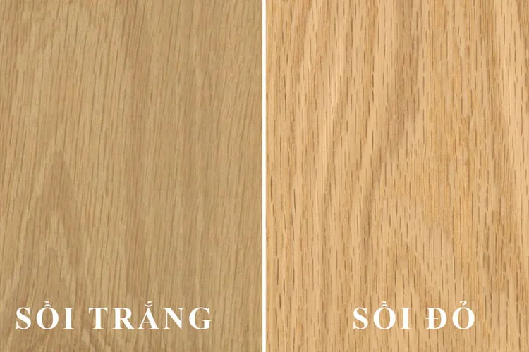So sánh và phân biệt gỗ sồi trắng và gỗ sồi đỏ
