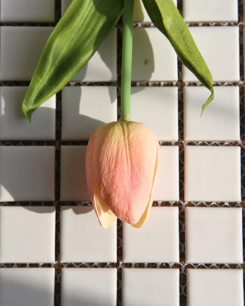 Cành Hoa Tulip Cam Nhạt