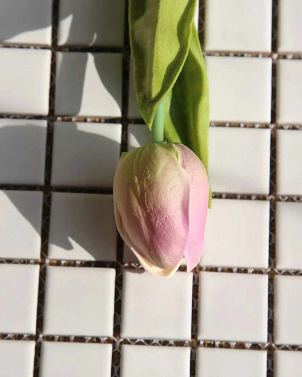Cành Hoa Tulip Tím Nhạt