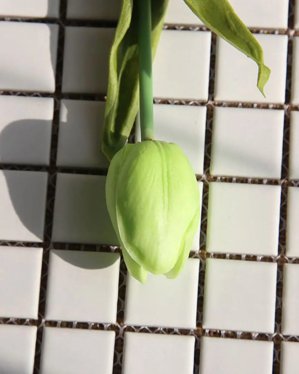 Cành Hoa Tulip Xanh