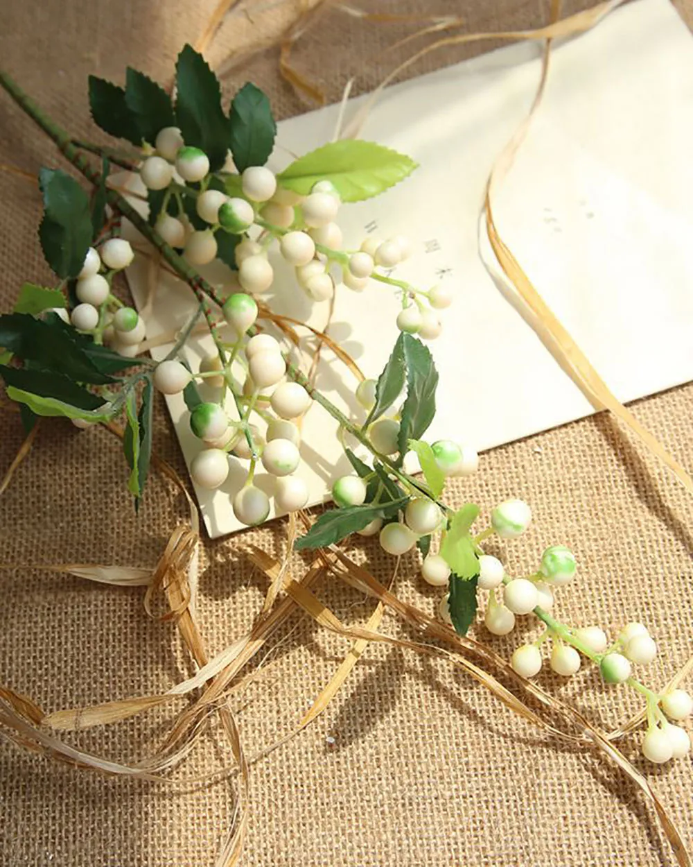 Cành Việt Quất Trắng