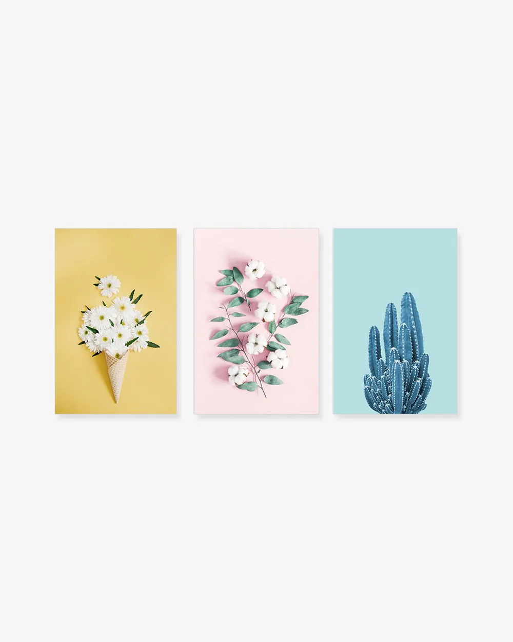 Bộ 3 Tranh Flower Cactus Pastel