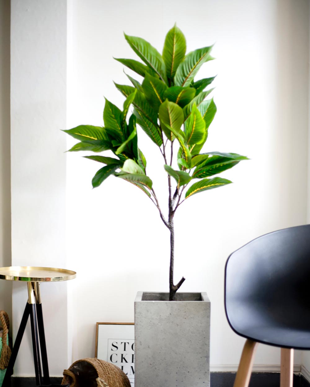 Cây Tỳ Bà Giả