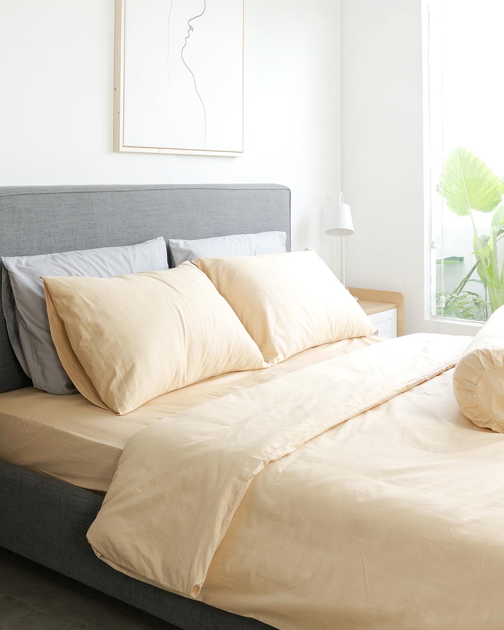 Bộ 2 Vỏ Gối 1 Vỏ Chăn Cotton Dysania Be