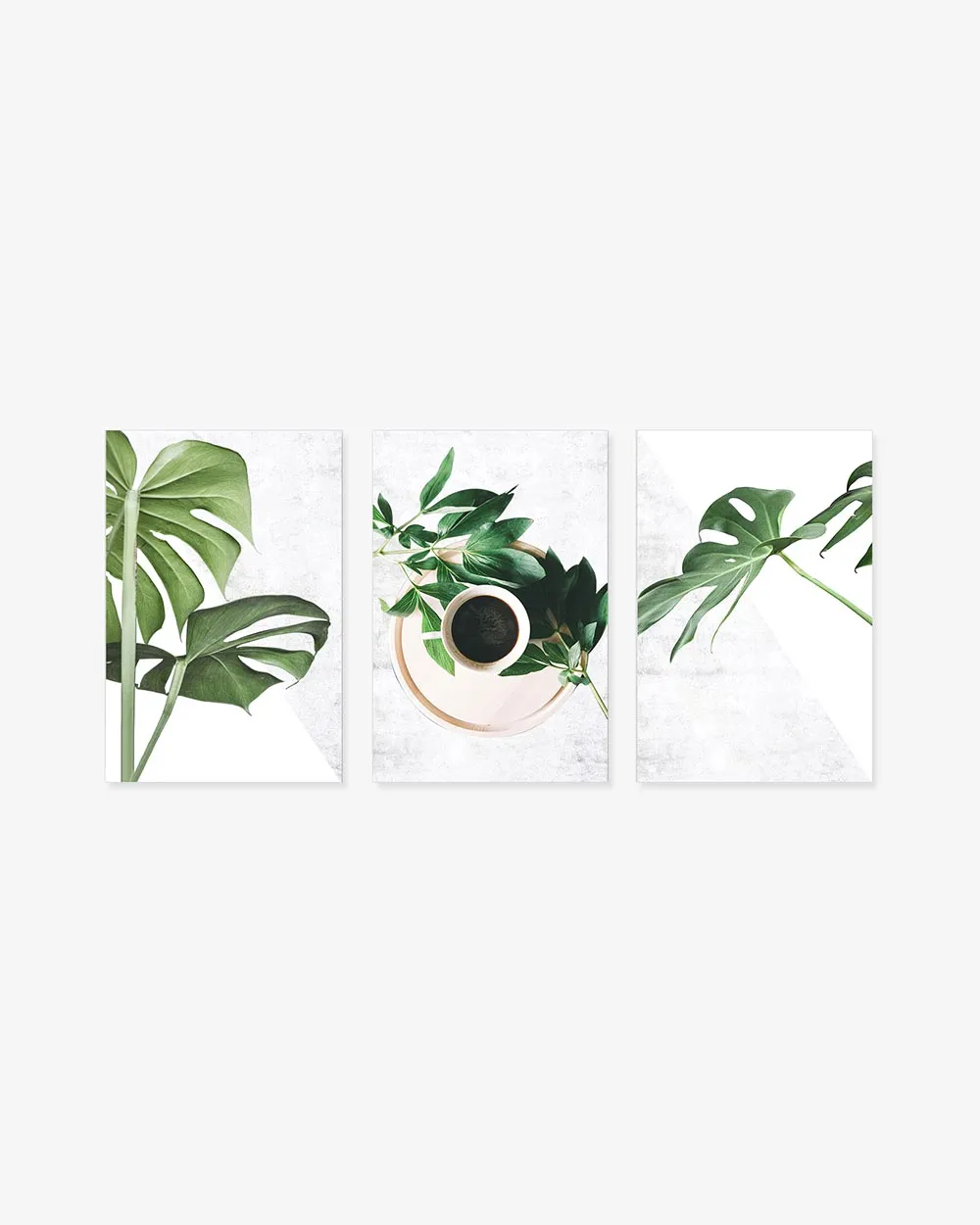Bộ 3 Tranh Botanical Leaves Coffee Green