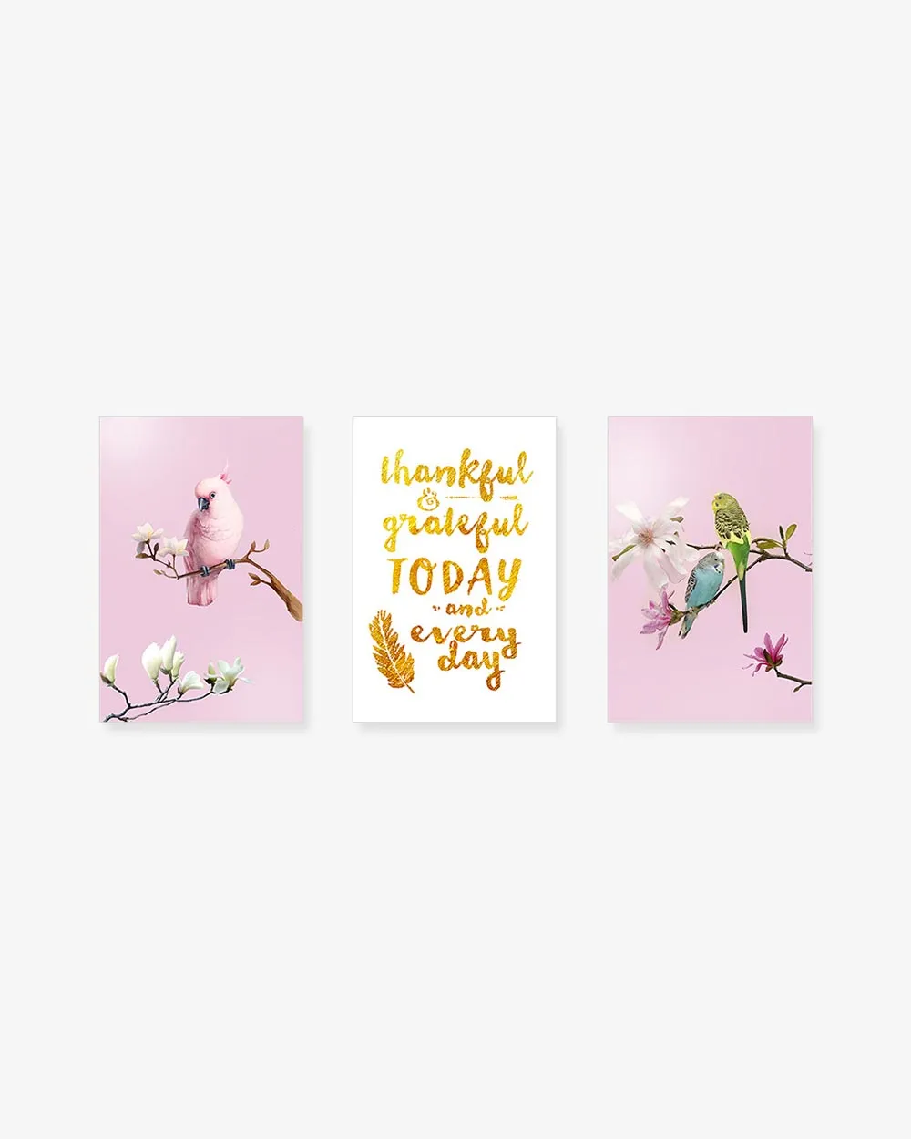 Bộ 3 Tranh Pink Birds Gold Quote